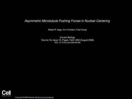 Asymmetric Microtubule Pushing Forces in Nuclear Centering