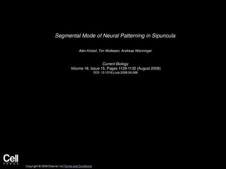 Segmental Mode of Neural Patterning in Sipuncula