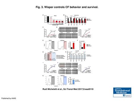 Fig. 3. Wisper controls CF behavior and survival.