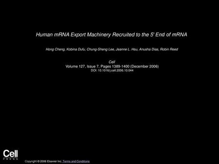 Human mRNA Export Machinery Recruited to the 5′ End of mRNA