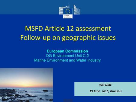 MSFD Article 12 assessment Follow-up on geographic issues