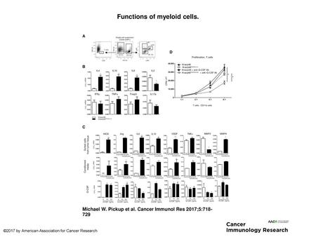 Functions of myeloid cells.