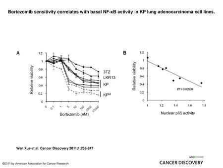 Bortezomib sensitivity correlates with basal NF-κB activity in KP lung adenocarcinoma cell lines. Bortezomib sensitivity correlates with basal NF-κB activity.