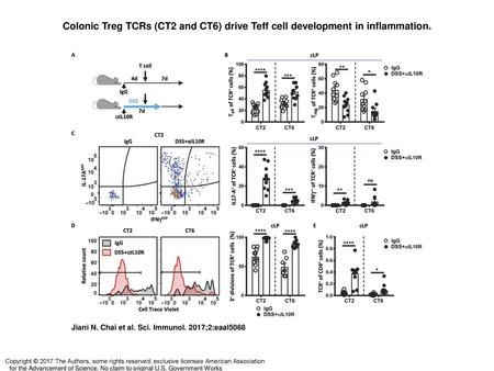 Colonic Treg TCRs (CT2 and CT6) drive Teff cell development in inflammation. Colonic Treg TCRs (CT2 and CT6) drive Teff cell development in inflammation.