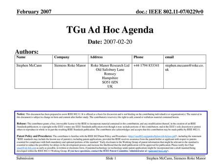 TGu Ad Hoc Agenda Date: Authors: February 2007