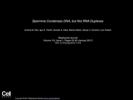 Spermine Condenses DNA, but Not RNA Duplexes
