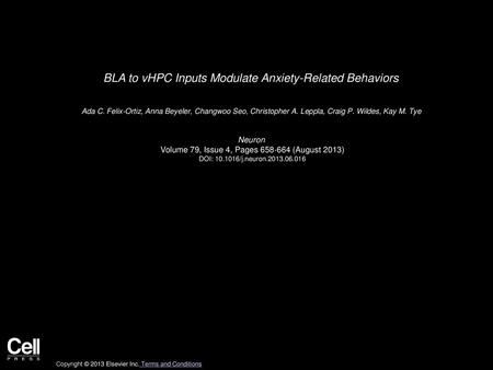 BLA to vHPC Inputs Modulate Anxiety-Related Behaviors