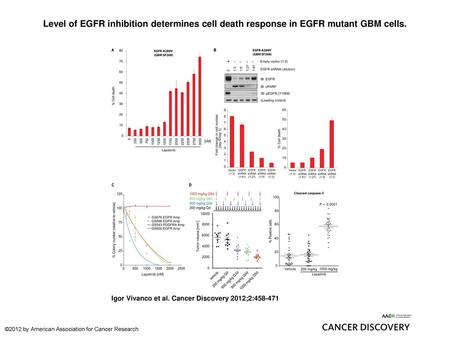 Level of EGFR inhibition determines cell death response in EGFR mutant GBM cells. Level of EGFR inhibition determines cell death response in EGFR mutant.