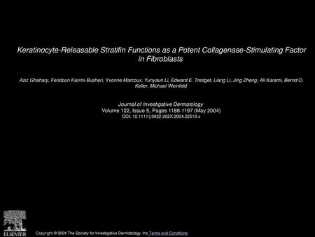 Keratinocyte-Releasable Stratifin Functions as a Potent Collagenase-Stimulating Factor in Fibroblasts  Aziz Ghahary, Feridoun Karimi-Busheri, Yvonne Marcoux,