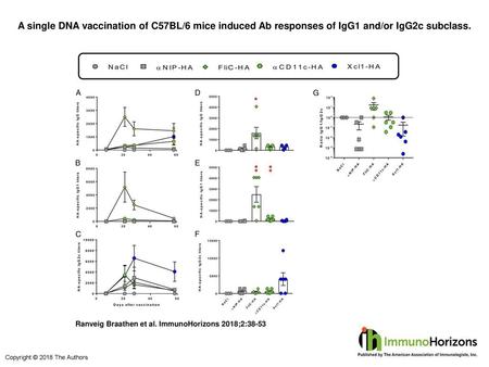A single DNA vaccination of C57BL/6 mice induced Ab responses of IgG1 and/or IgG2c subclass. A single DNA vaccination of C57BL/6 mice induced Ab responses.