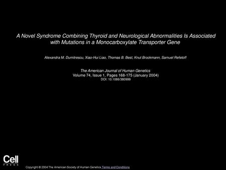 A Novel Syndrome Combining Thyroid and Neurological Abnormalities Is Associated with Mutations in a Monocarboxylate Transporter Gene  Alexandra M. Dumitrescu,