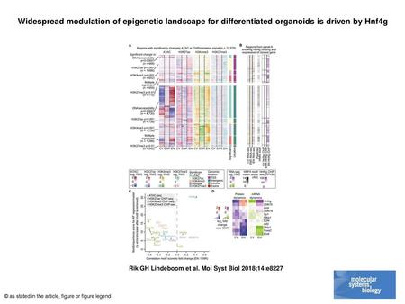 Widespread modulation of epigenetic landscape for differentiated organoids is driven by Hnf4g Widespread modulation of epigenetic landscape for differentiated.