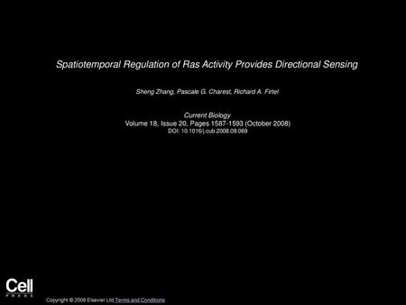 Spatiotemporal Regulation of Ras Activity Provides Directional Sensing
