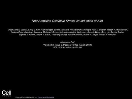 Nrf2 Amplifies Oxidative Stress via Induction of Klf9