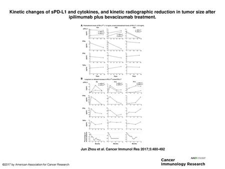 Kinetic changes of sPD-L1 and cytokines, and kinetic radiographic reduction in tumor size after ipilimumab plus bevacizumab treatment. Kinetic changes.