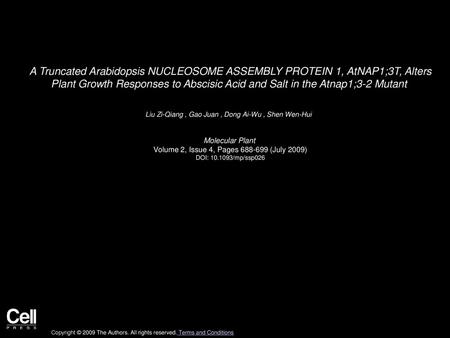 A Truncated Arabidopsis NUCLEOSOME ASSEMBLY PROTEIN 1, AtNAP1;3T, Alters Plant Growth Responses to Abscisic Acid and Salt in the Atnap1;3-2 Mutant  Liu.