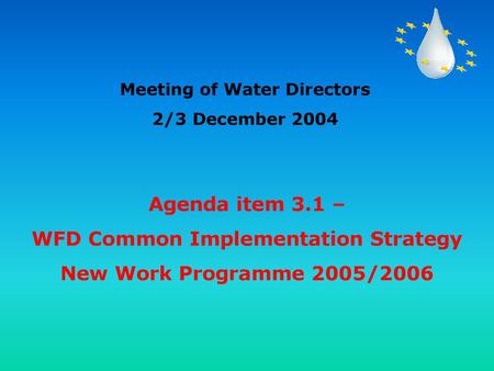 Meeting of Water Directors WFD Common Implementation Strategy
