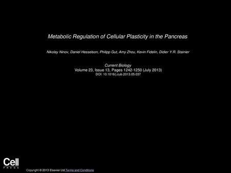 Metabolic Regulation of Cellular Plasticity in the Pancreas