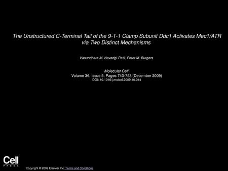 The Unstructured C-Terminal Tail of the 9-1-1 Clamp Subunit Ddc1 Activates Mec1/ATR via Two Distinct Mechanisms  Vasundhara M. Navadgi-Patil, Peter M.