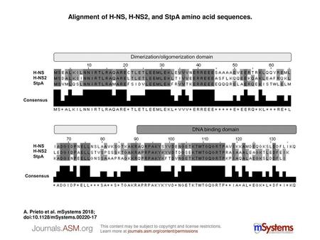 Alignment of H-NS, H-NS2, and StpA amino acid sequences.
