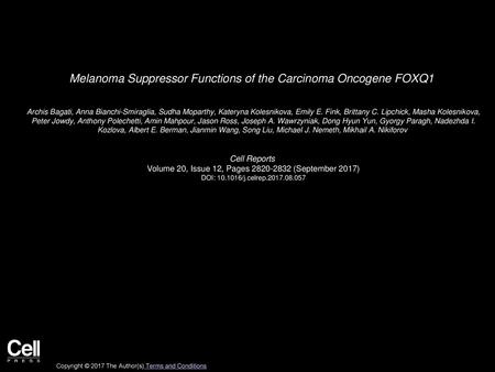 Melanoma Suppressor Functions of the Carcinoma Oncogene FOXQ1