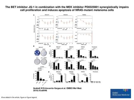 The BET inhibitor JQ‐1 in combination with the MEK inhibitor PD0325901 synergistically impairs cell proliferation and induces apoptosis of NRAS‐mutant.