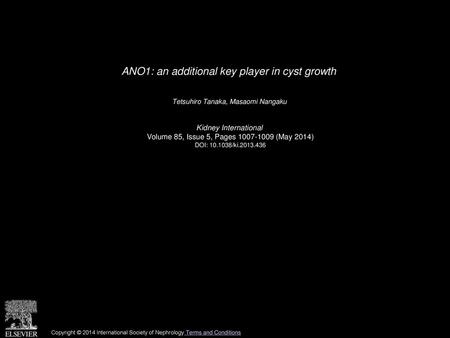 ANO1: an additional key player in cyst growth