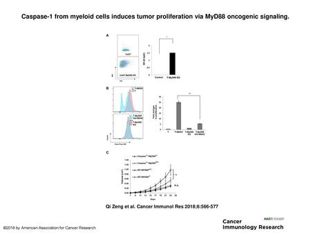 Caspase-1 from myeloid cells induces tumor proliferation via MyD88 oncogenic signaling. Caspase-1 from myeloid cells induces tumor proliferation via MyD88.