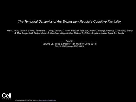 The Temporal Dynamics of Arc Expression Regulate Cognitive Flexibility