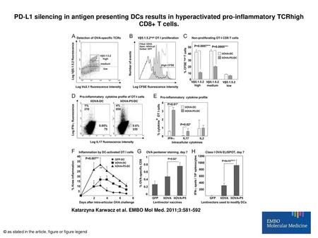 PD‐L1 silencing in antigen presenting DCs results in hyperactivated pro‐inflammatory TCRhigh CD8+ T cells. PD‐L1 silencing in antigen presenting DCs results.
