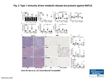 Type 1 immunity drives metabolic disease but protects against NAFLD
