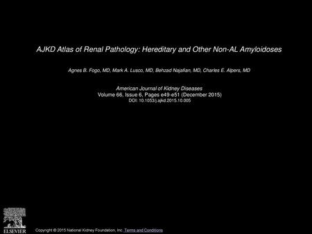 AJKD Atlas of Renal Pathology: Hereditary and Other Non-AL Amyloidoses