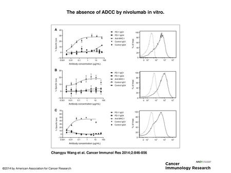 The absence of ADCC by nivolumab in vitro.