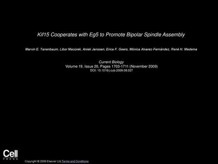 Kif15 Cooperates with Eg5 to Promote Bipolar Spindle Assembly