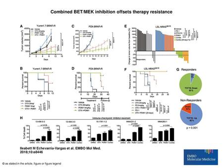 Combined BET/MEK inhibition offsets therapy resistance