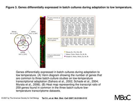 Figure 3. Genes differentially expressed in batch cultures during adaptation to low temperature. Genes differentially expressed in batch cultures during.