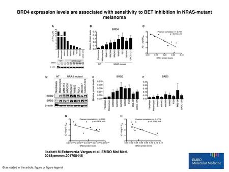 BRD4 expression levels are associated with sensitivity to BET inhibition in NRAS‐mutant melanoma BRD4 expression levels are associated with sensitivity.