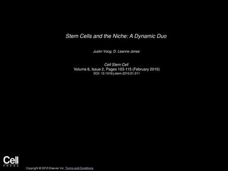 Stem Cells and the Niche: A Dynamic Duo