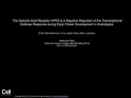 The Salicylic Acid Receptor NPR3 Is a Negative Regulator of the Transcriptional Defense Response during Early Flower Development in Arabidopsis  Zi Shi,