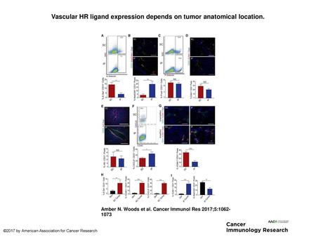 Vascular HR ligand expression depends on tumor anatomical location.