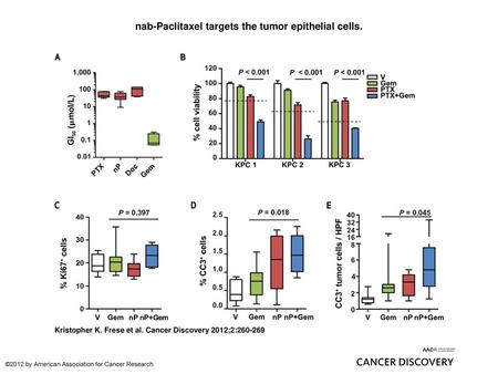 nab-Paclitaxel targets the tumor epithelial cells.