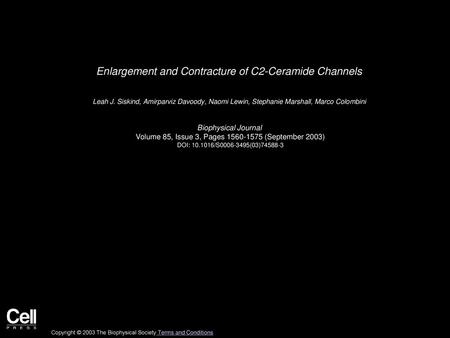 Enlargement and Contracture of C2-Ceramide Channels