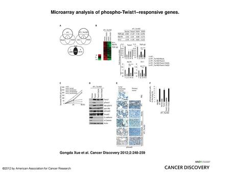 Microarray analysis of phospho-Twist1–responsive genes.