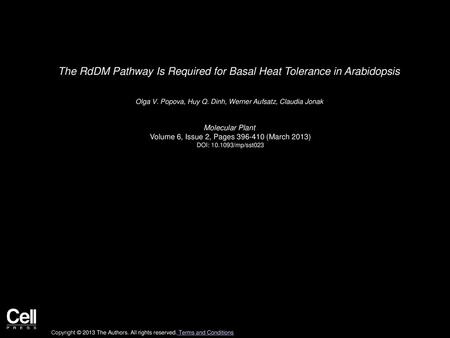 The RdDM Pathway Is Required for Basal Heat Tolerance in Arabidopsis