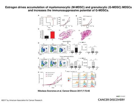 Estrogen drives accumulation of myelomonocytic (M-MDSC) and granulocytic (G-MDSC) MDSCs and increases the immunosuppressive potential of G-MDSCs. Estrogen.