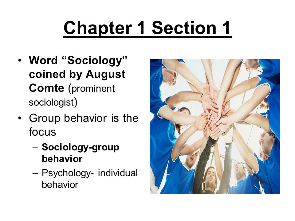 Group Behavior Sociology 79