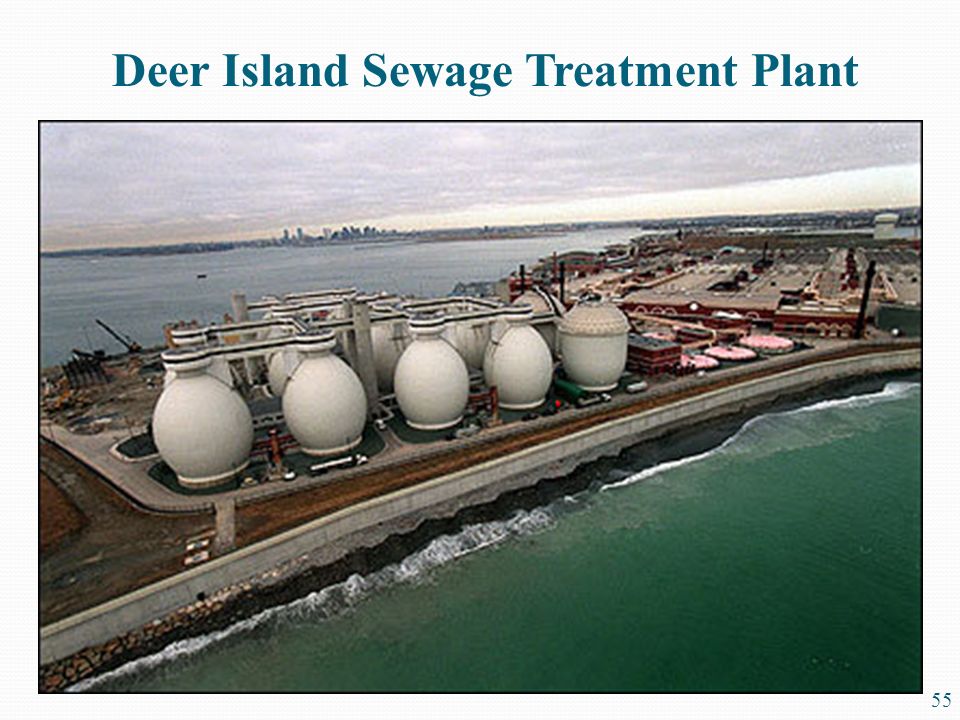 56 Beneficial Reuse of Sludge Deer Island Sewage Treatment Plant