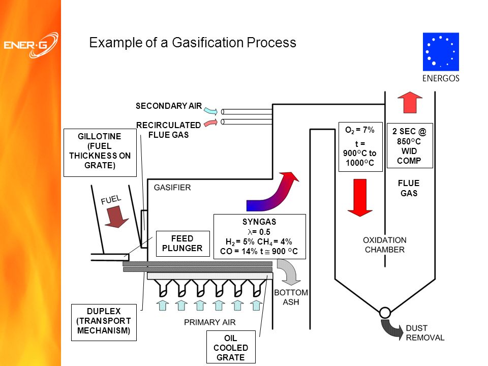 shop wnt signaling pathway methods and mammalian