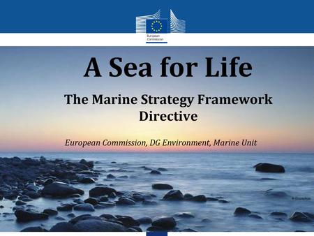 A Sea for Life The Marine Strategy Framework Directive
