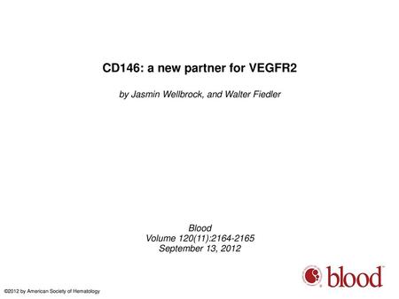 CD146: a new partner for VEGFR2